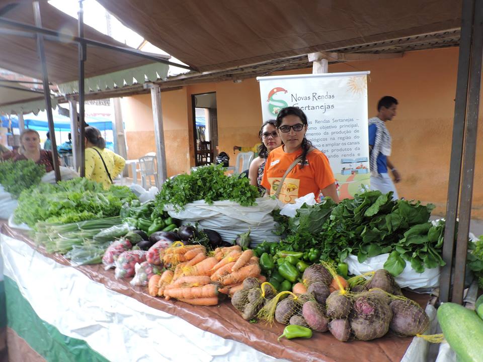 BARRACA DE FEIRA 1.jpg